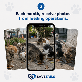SaveTails Club