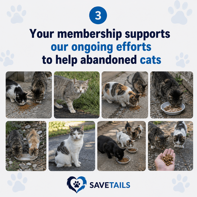The Monthly Tails Club