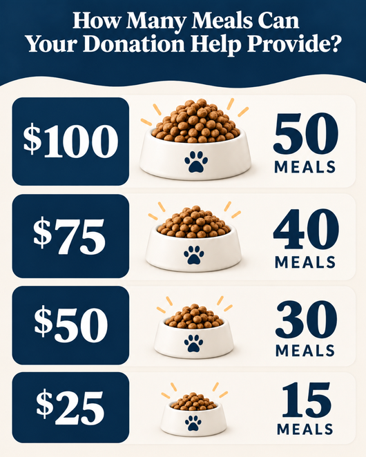Support Our Cause